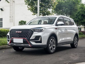 VGV U75 Plus Джип/SUV 5 дв. 06.2021 -  н.в.