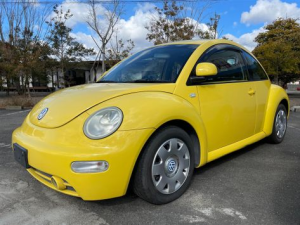 Volkswagen Beetle Хэтчбек 3 дв. 09.1999 - 08.2005