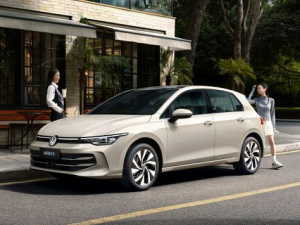 Volkswagen Golf (Mk8) Хэтчбек 5 дв. 02.2024 -  н.в.