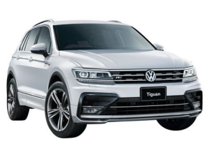 Volkswagen Tiguan Джип/SUV 5 дв. 11.2016 - 04.2021