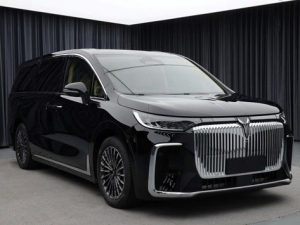 Voyah Dream Plus Минивэн, Гибрид 08.2024 -  н.в.