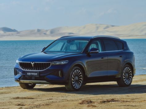 Voyah Free Джип/SUV 5 дв., Гибрид 12.2020 -  н.в.