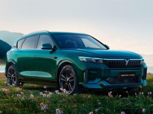 Voyah Free Джип/SUV 5 дв., Гибрид 08.2022 -  н.в.