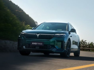 Voyah Free Джип/SUV 5 дв., Гибрид 08.2022 -  н.в.