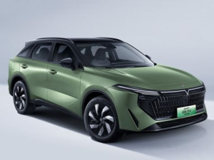 Venucia V-Online DD-i Джип/SUV 5 дв., Гибрид 08.2021 -  н.в.