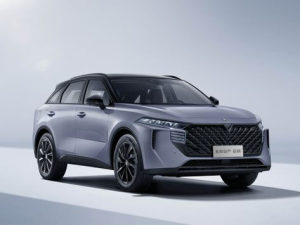 Venucia V-Online Джип/SUV 5 дв. 08.2021 -  н.в.