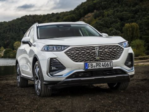 WEY 03 Джип/SUV 5 дв. 06.2024 -  н.в.