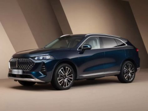 WEY 05 Джип/SUV 5 дв., Гибрид 12.2023 -  н.в.