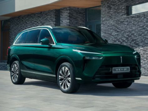 WEY 07 Джип/SUV 5 дв., Гибрид 07.2024 -  н.в.