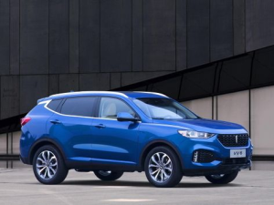 WEY VV6 Джип/SUV 5 дв. 04.2018 - 11.2020