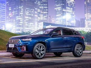 WEY VV7 Джип/SUV 5 дв., Гибрид 01.2019 - 11.2021