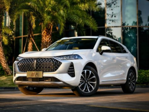 WEY Mocha Джип/SUV 5 дв., Гибрид 01.2021 - 05.2023