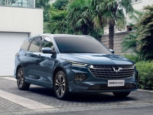 Wuling Victory (CN220M) Минивэн, Гибрид 08.2020 -  н.в.