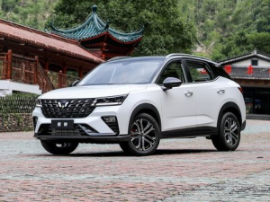 Wuling Xingchi (310S) Джип/SUV 5 дв. 04.2021 -  н.в.