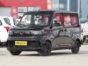 Wuling Zhiguang EV Минивэн 11.2024 -  н.в.