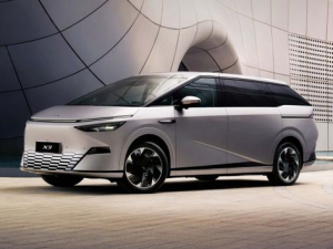 Xpeng X9 Минивэн 11.2023 - 04.2025