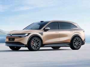 Zeekr 7X Джип/SUV 5 дв. 08.2024 -  н.в.